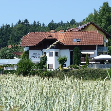 Апартаменты Ferienhaus Bluemel Inkl. Freier Strandbadeintritt Фельден-ам-Вёртер-Зе Экстерьер фото